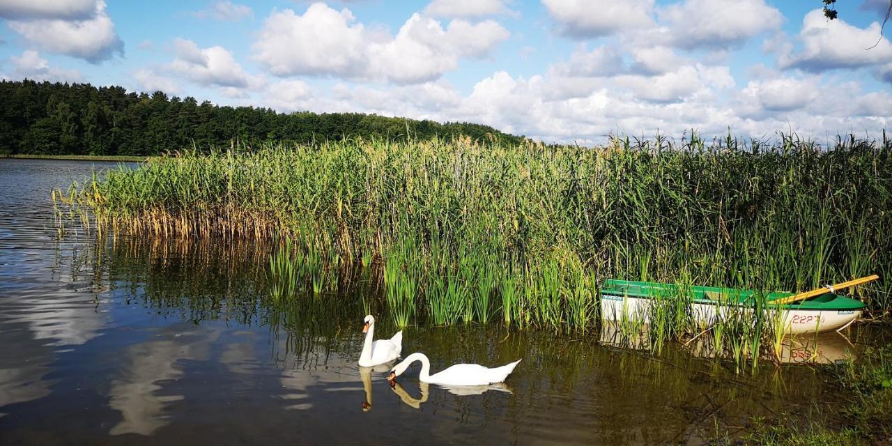 Apartamenty Mazurskie Klimaty Tomaszkowo Buitenkant foto